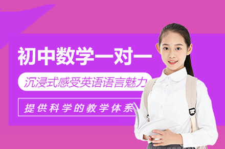 初中数学一对一培训班