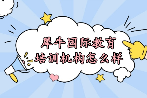 揭秘合肥犀牛国际教育：权威分析竞赛与课程辅导体系 