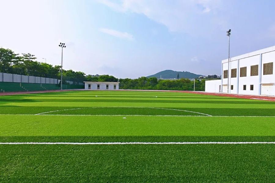 学校草坪环境