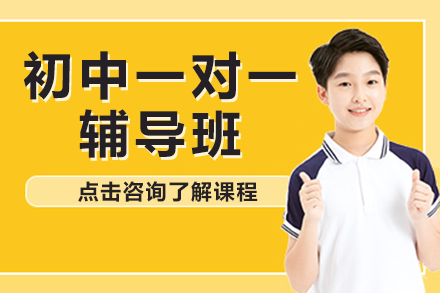 广州初中1对1教育方案解析：专属学习力提升之道