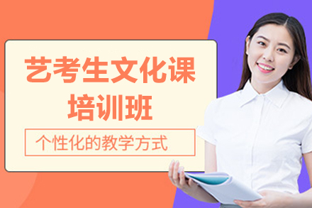 广州艺术生高效文化课提升方案