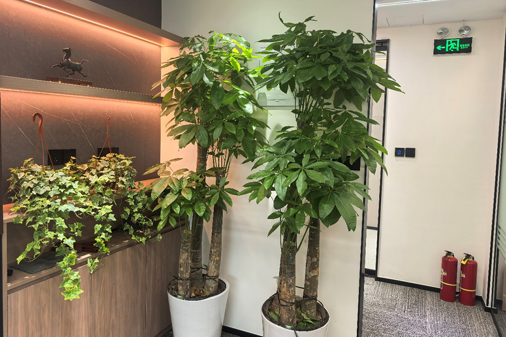 校区门口环境