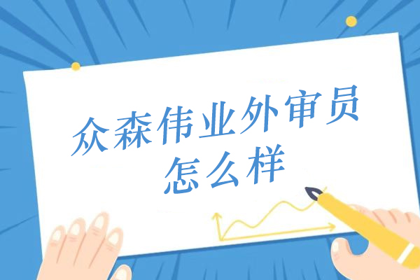 众森伟业外审员职业深度解析：认证行业精英的成长之路