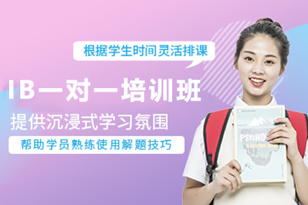 石家庄IB一对一培训班：定制化辅导助您学术飞跃