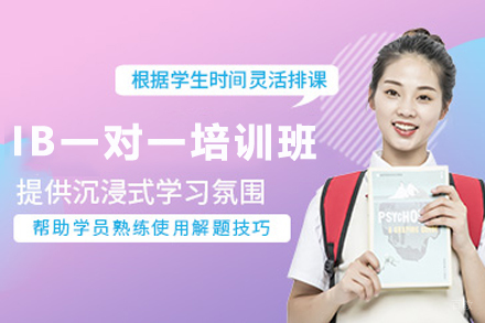 石家庄IB一对一培训班：定制化辅导助您学术飞跃