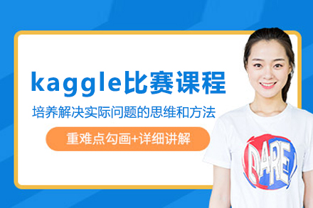 Kaggle数据竞赛实战指南：提升你的科学技能
