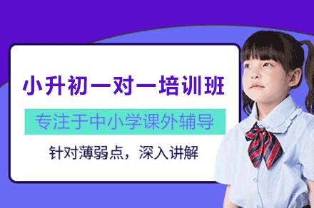 厦门小升初培优指南：一对一教学定制方案解密