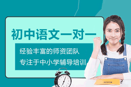 厦门初中语文精学计划 一对一定制化培训