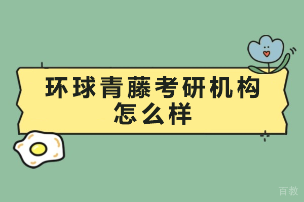 南京环球青藤考研深度评测：师资课程全面解析 