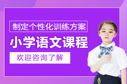 北京小学语文辅导课程深度解析