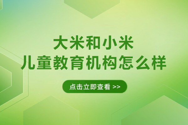 合肥大米和小米儿童教育机构专业评测：深度解析康复服务与教学体系 