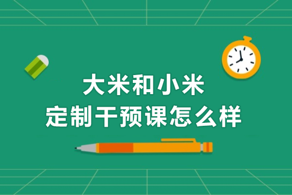 深度解析合肥大米和小米定制干预课的独特优势