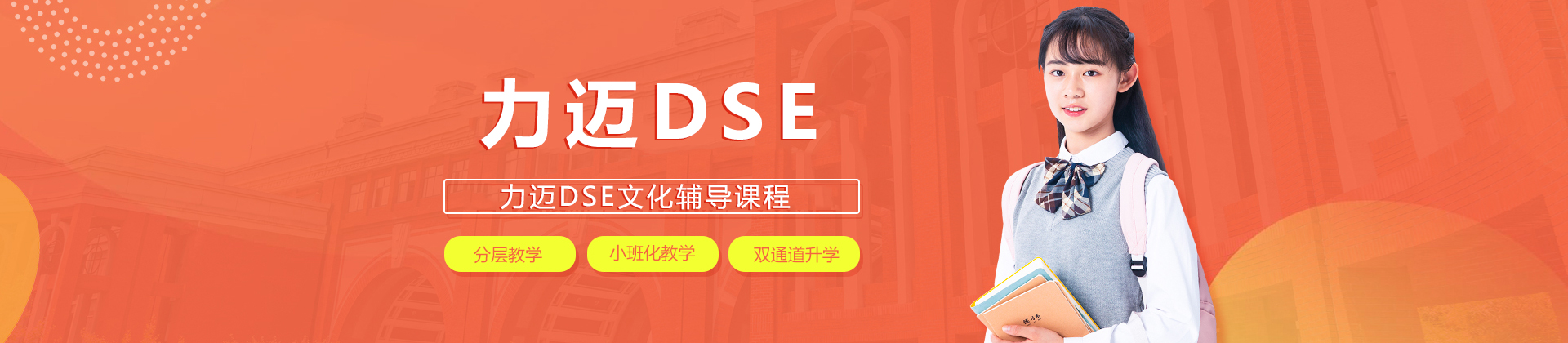 北京力迈DSE