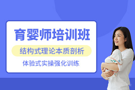 育婴师专业技能特训计划：0-3岁婴幼儿照护完全指南