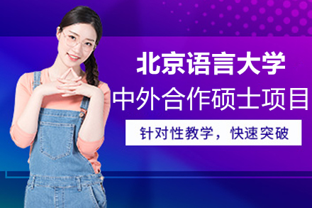 北京语言大学中外合作商业智能硕士深度解析