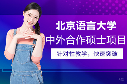 北京语言大学中外合作商业智能硕士深度解析