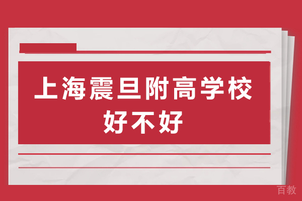 深度解析上海震旦附高：教学实力与特色全览 