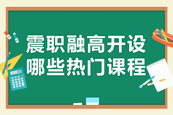 深度解析上海震职融高两大王牌课程体系 