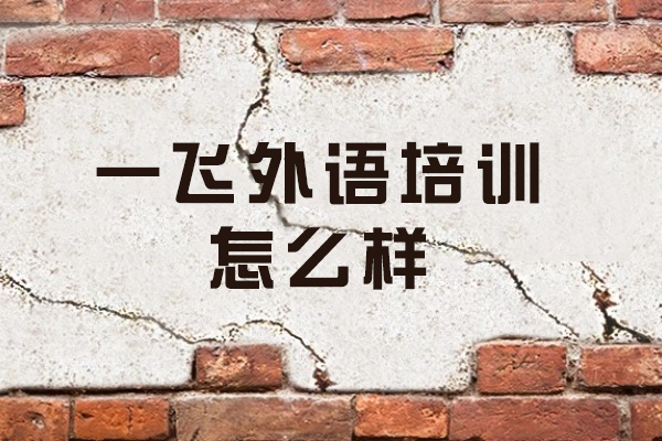 深度解析厦门一飞外语培训质量与教学特色 