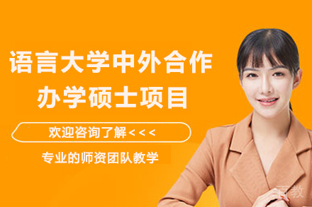 深度探索北京语言大学国际商业智能硕士合作项目