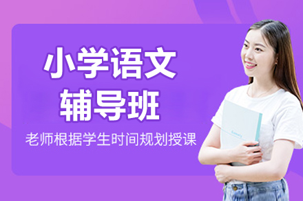 北京京督学府小学语文精讲课程全解析