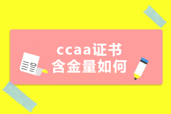 CCAA证书职业价值深度剖析：高含金量背后的真相