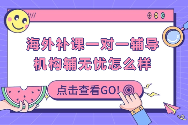 深入评估：昆明辅无忧留学生一对一学术支持服务质量解析 