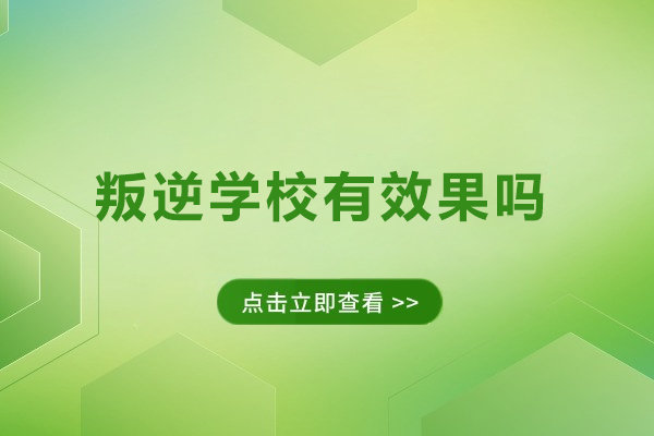叛逆学校：效果与实用性的深度探究 