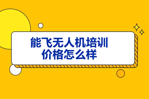 深入解析能飞无人机培训费用：课程种类与价格优势