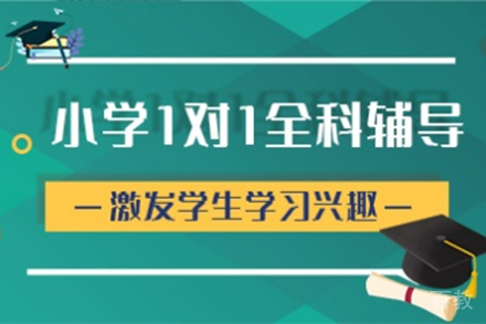 广州小学生语数英个性化全科辅导方案解析