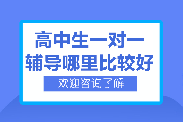 广州高中生一对一辅导优选指南 