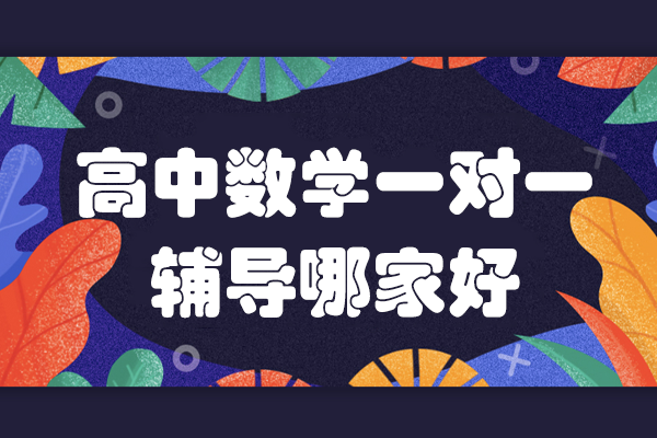 广州高中数学一对一辅导全方位解析：个性化提升方案 