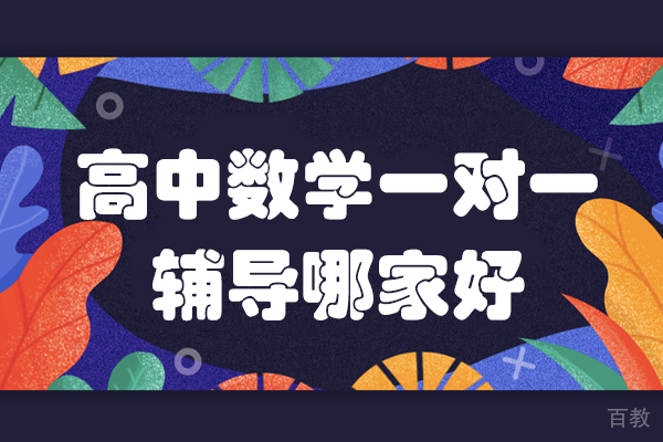 广州高中数学一对一辅导全方位解析：个性化提升方案 