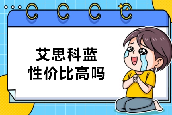 大连艾思科蓝学术服务深度测评：性价比优势解析