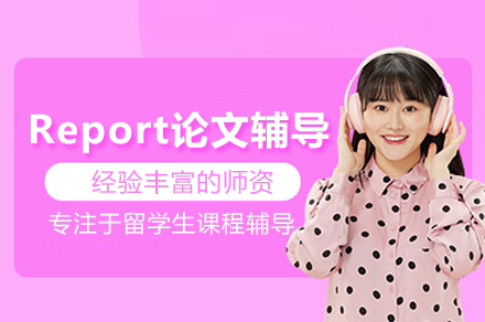 北京Report论文写作指导全面解析