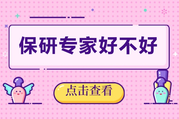 保研专家实力全览：核心特色与权威解析 