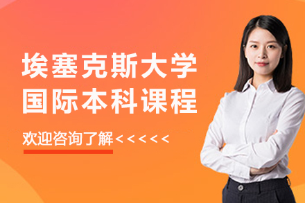 埃塞克斯大学国际本科课程深度解读：双模式培养与全球认证学位