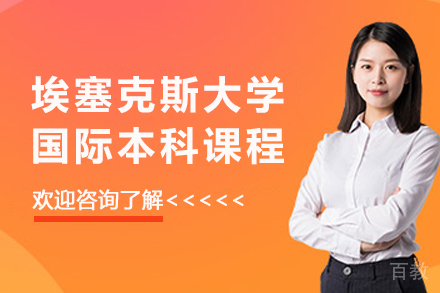 埃塞克斯大学国际本科课程深度解读：双模式培养与全球认证学位