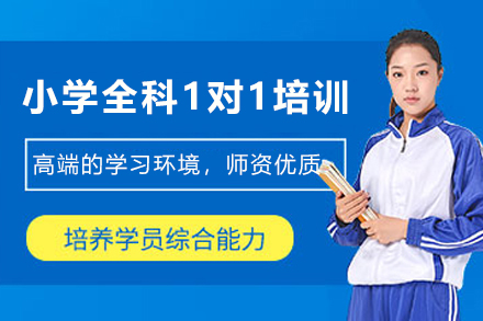 石家庄小学全科个性化辅导体系深度解析