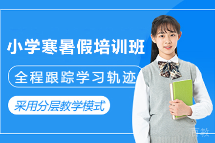 石家庄锐思1对1寒暑假培训：小学生个性化学习方案