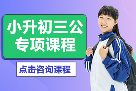 上海小升初三公专项课程深度解析