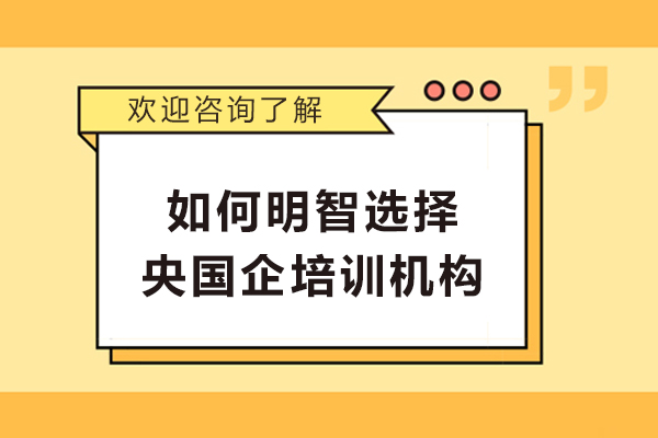 央国企培训机构五维测评法：择校黄金标准揭秘