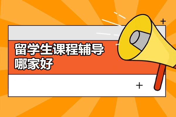 济南留学生学业支持优选指南：海马课堂核心优势解析