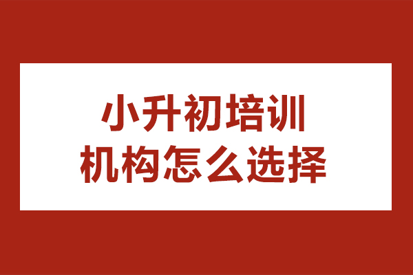 东莞小升初培训机构权威选择全攻略