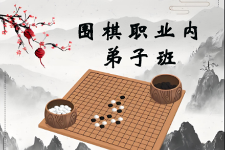 弈海围棋职业大师班：青少年棋手精英培养计划