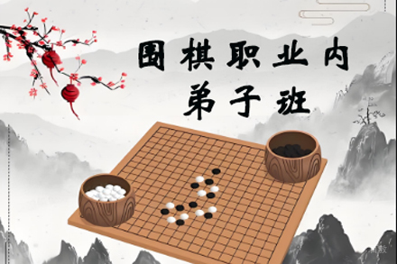 弈海围棋职业大师班：青少年棋手精英培养计划