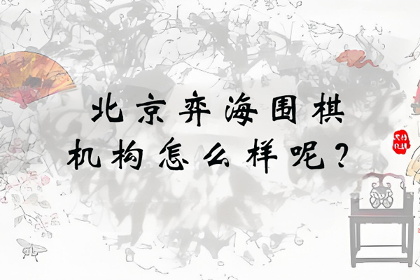 北京弈海围棋机构教学特色与师资优势全解析