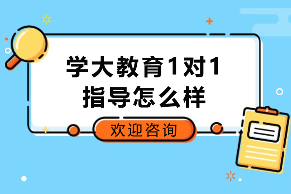 济南学大教育1对1辅导剖析：效果评估与服务特点