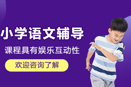 成都小学语文辅导精粹：培养高效语文能力的专属方案