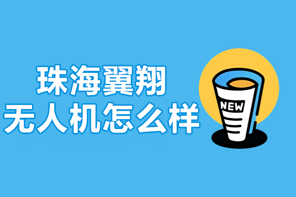 珠海翼翔无人机服务深度解析 